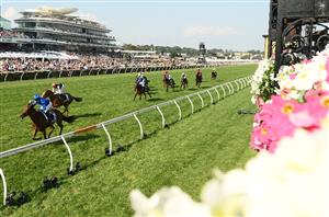 Flemington Betting Tips for November 7, 2024 - Race-By-Race preview for VRC Oaks day