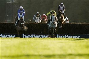 haldon gold cup