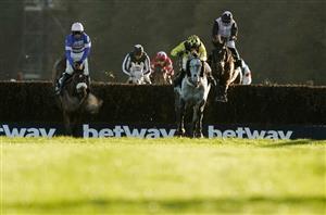 haldon gold cup