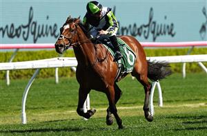 Champions Stakes Tips - Runner-by-Runner Guide for the Flemington Group 1