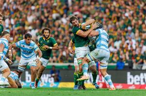 South Africa rugby vs argentina