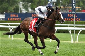 Champions Sprint Tips - Runner-by-Runner Guide for the VRC Group 1 sprint