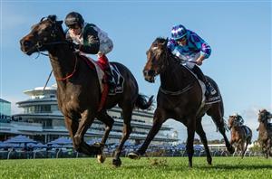 Champions Mile Tips - Runner-by-Runner Guide for the Spring Carnival Group 1
