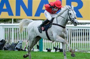 2024 Betfair Chase Odds - Grey Dawning the clear favourite at Haydock
