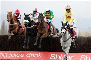shloer chase