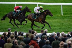 buddy one cheltenham