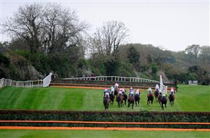 ireland handicap chase