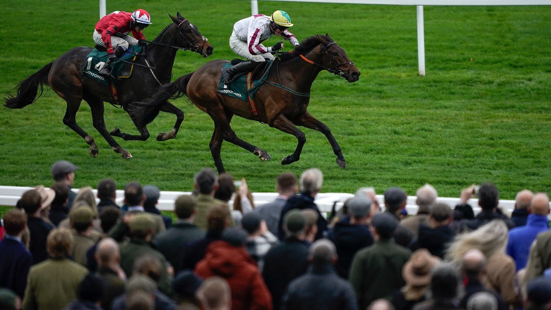 ITV Racing Tips on November 15th | Friday's tips at Cheltenham
