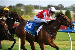 Big Bets Results from 16.11.2024