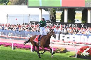 Cox Plate 2025 Betting Odds - $4.20 for Via Sistina to go back-to-back