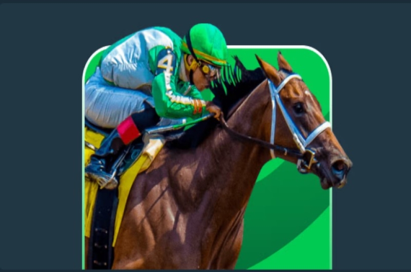 Stake.com