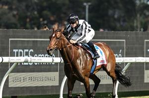 Railway Stakes 2024 Barrier Draw & Final Field