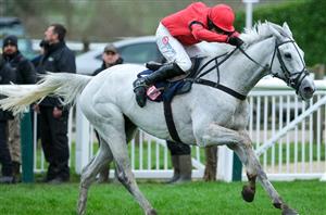 2024 Betfair Chase Tips - Is Grey Dawning a worthy favourite at Haydock?