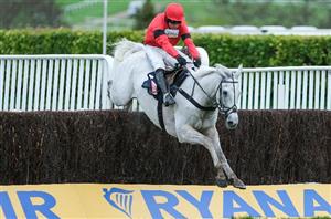 "He is as good as any staying chaser we’ve had" - Skelton looking for Grey Dawning to advertise Gold Cup credentials
