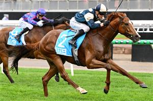 Railway Stakes Tips - Will the local form hold up or can a big stable from the east prevail in the Railway?