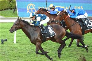 Big Bets for 23.11.2024