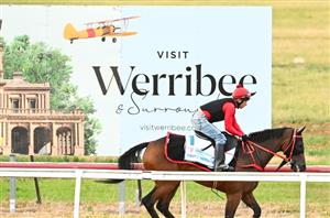 Partnership formed between PickleBet and Werribee Racing Club