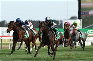 Big Bets Results for 23.11.2024