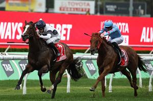 Winterbottom Stakes Odds