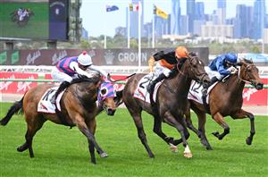 Winterbottom Stakes 2024 Betting Tips - Empire is set to rule