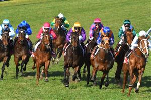 Ascot Betting Tips for November 30, 2024 - Race-By-Race preview for Winterbottom Stakes day