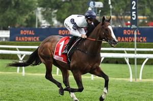 Winterbottom Stakes Tips - Overpass can maintain perfect record at Ascot, while a picket fencer might be the danger