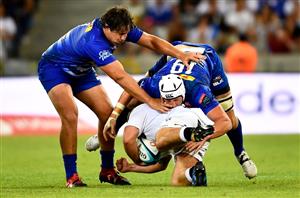 Sharks vs Stormers Predictions & Tips - Stormers to get close at the Sharks tank