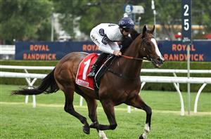 Winterbottom Stakes Tips - Runner-by-Runner Guide for the Ascot Group 1