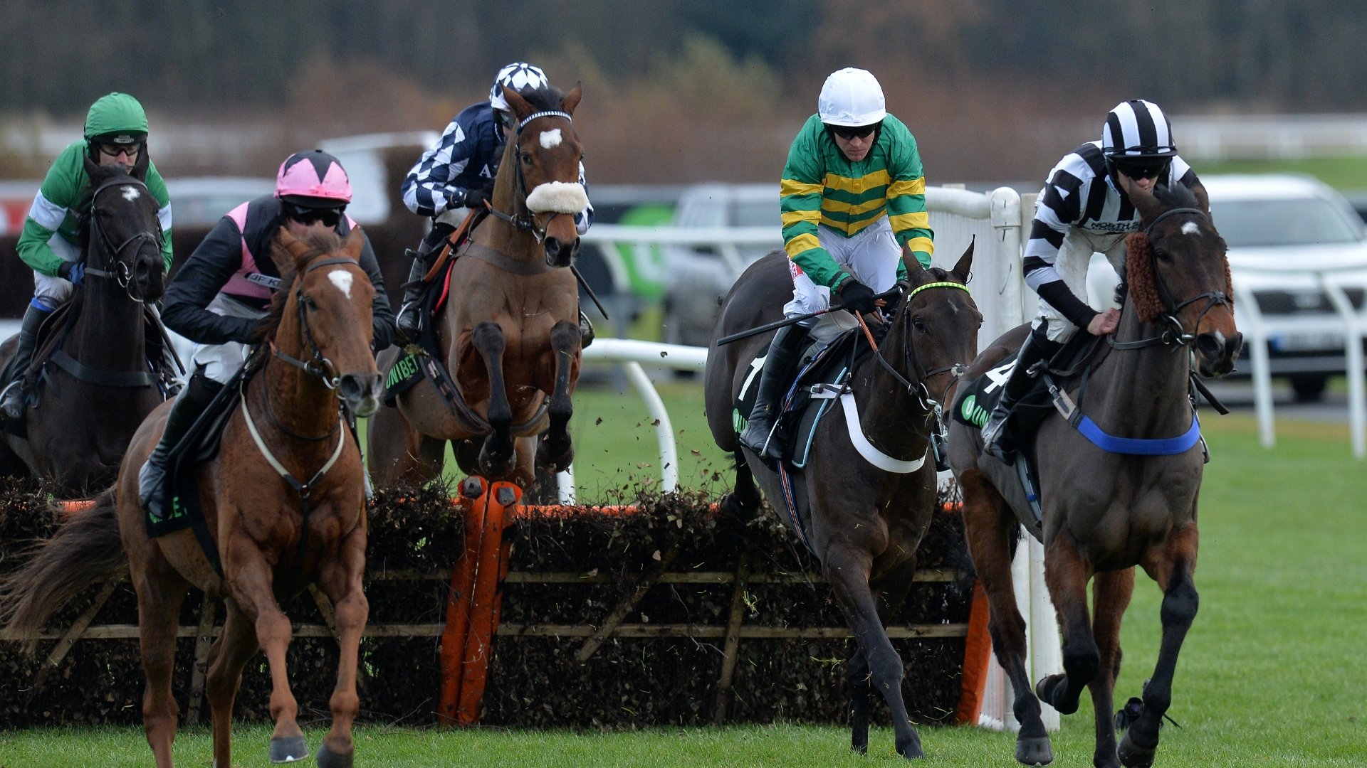 2025 Fighting Fifth Hurdle Live Stream Watch the Newcastle race online