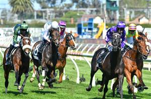 Caulfield Betting Tips for November 30, 2024 - Race-By-Race preview for Zipping Classic day
