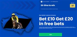 Sir Gino Fighting Fifth Boost BoyleSports
