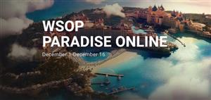 WSOP Paradise 2024