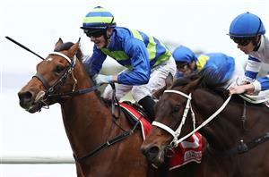 Northerly Stakes Tips - Can local filly make the step up in last Group 1 in Australia for 2025?