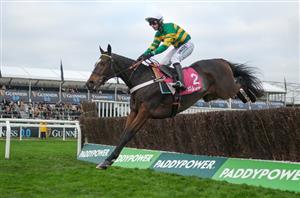 "We couldn't be happier with him" - Jonbon ready for Tingle Creek clash with Quilixios
