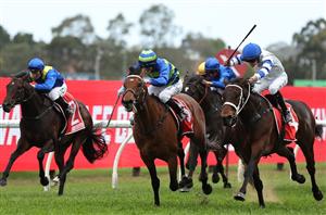 Northerly Stakes 2024 Betting Tips - Pike & Williams fit the profile