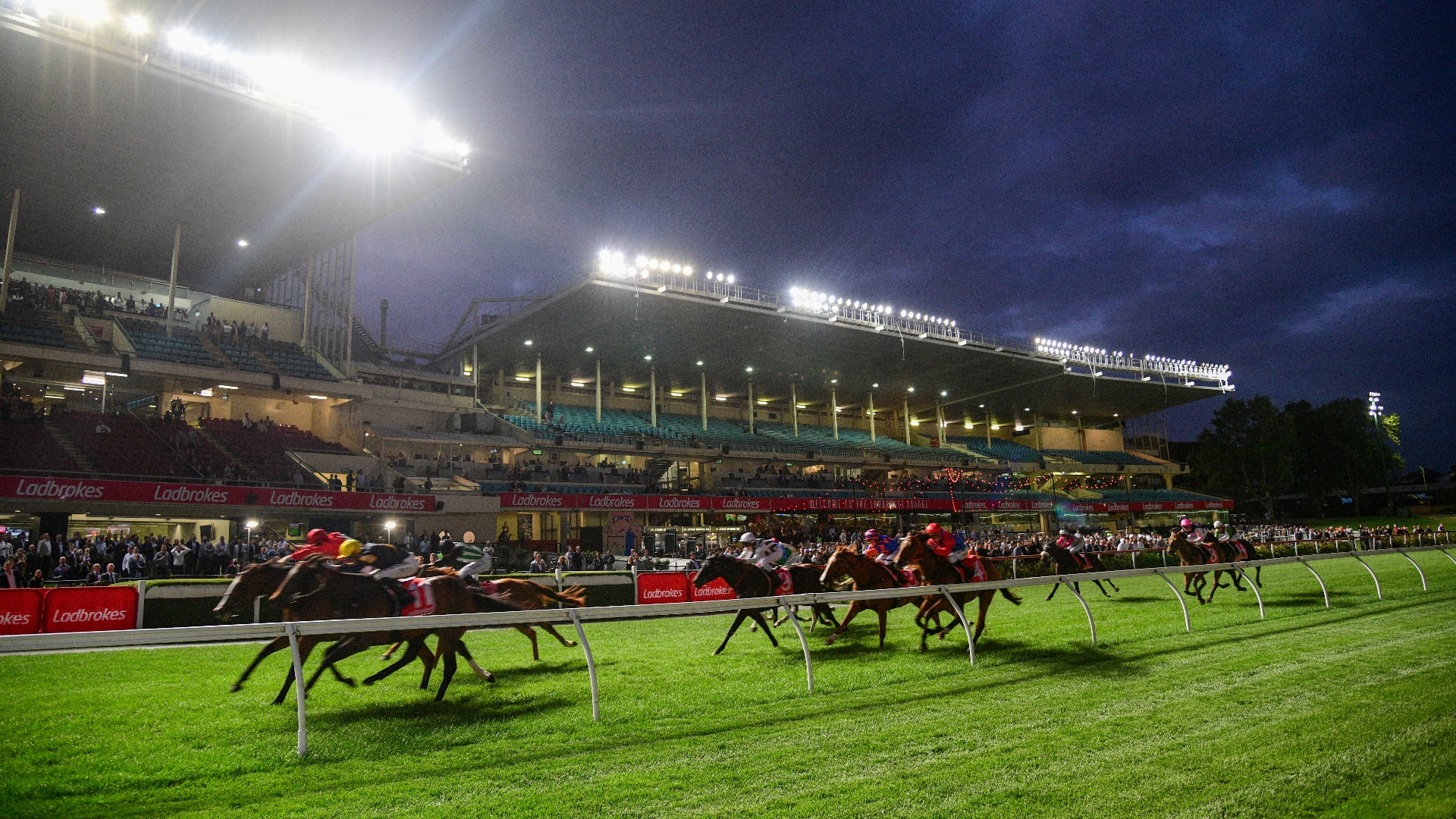 Moonee Valley Betting Tips for December 6, 2024 Presser is due