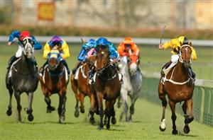 Ascot Betting Tips for December 7, 2024 - Race-By-Race preview for Northerly Stakes day