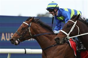 Northerly Stakes Tips - Runner-by-Runner Guide for the Ascot Group 1