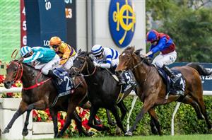 HK Cup Tips