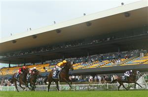 Big Bets Results from 07.12.2024