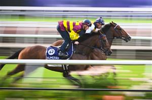 Perth Cup 2025 Betting Odds - Diamond Scene holds favouritism