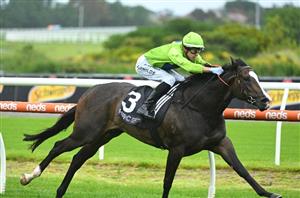 Get $8 for Miraval Rose & Warnie to both Win