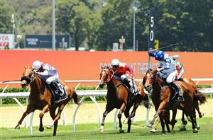 Big Bets Results from 14.12.2024