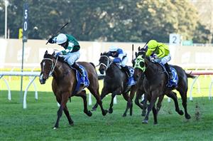 Queen Elizabeth Stakes 2025 Betting Odds - Via Sistina is favoured to atone