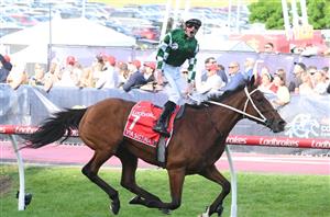 Cox Plate 2025 Betting Tips - Can Via Sistina go back to back at the Valley?