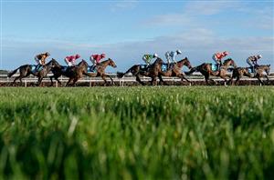 Leopardstown Tips on December 26th - Boxing Day Selections