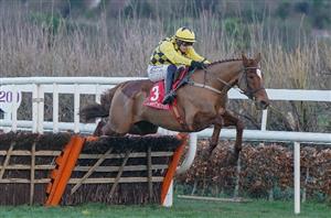 2024 Neville Hotels Hurdle Tips - Revenge for State Man at Leopardstown?