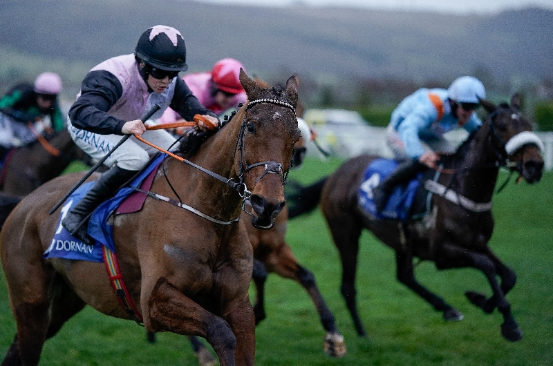 2025 Relkeel Hurdle Live Stream Watch the Cheltenham race online