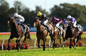 Canterbury Tips for 20.11.2024