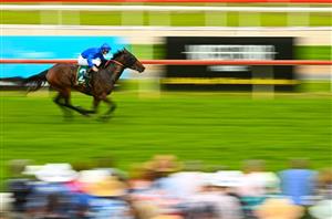 Geelong races